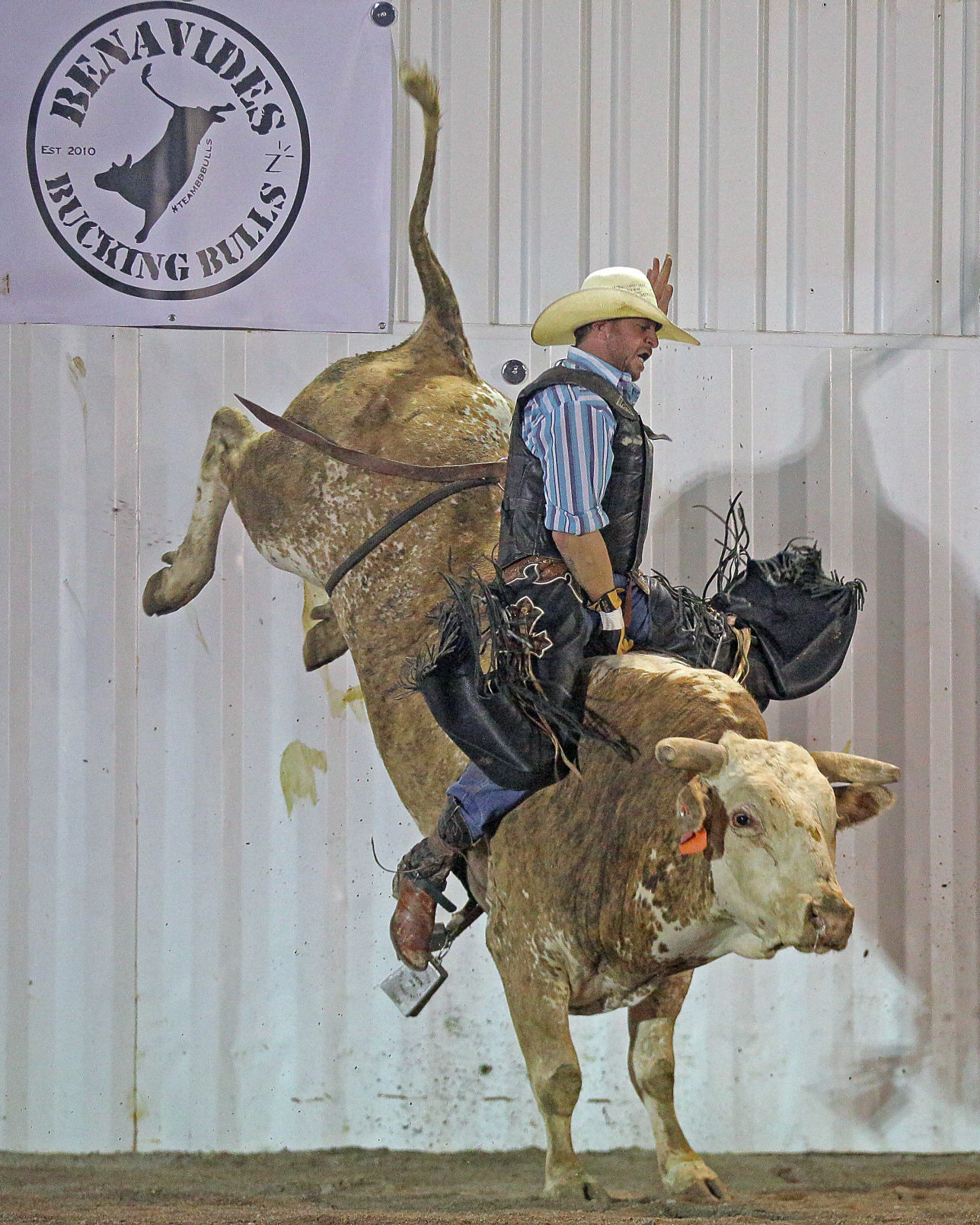 091520-elk-spt-gold-rush-sonny-murphy.jpg